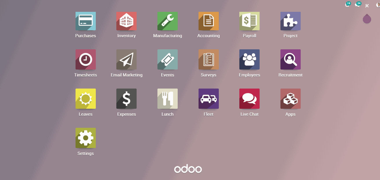 Odoo • A picture with a caption